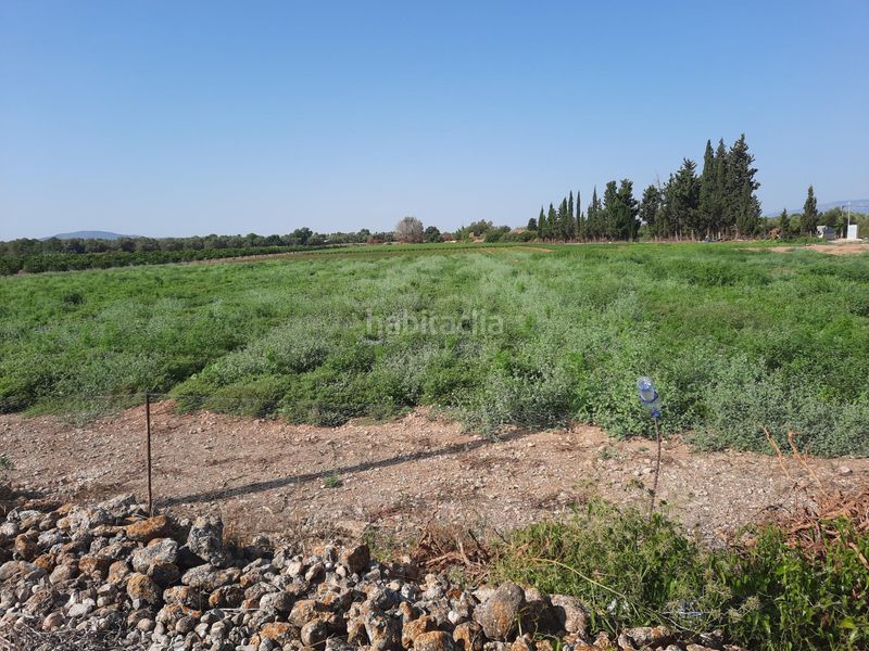 Foto ac50ed1d-8467-4361-9af8-8c3ef2657bd2. Finca rústica a Santa Bàrbara