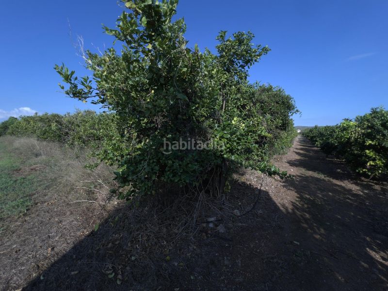 Foto 121eda4b-9f23-4a08-80ae-e0171c35a550. Finca rústica a Alcanar