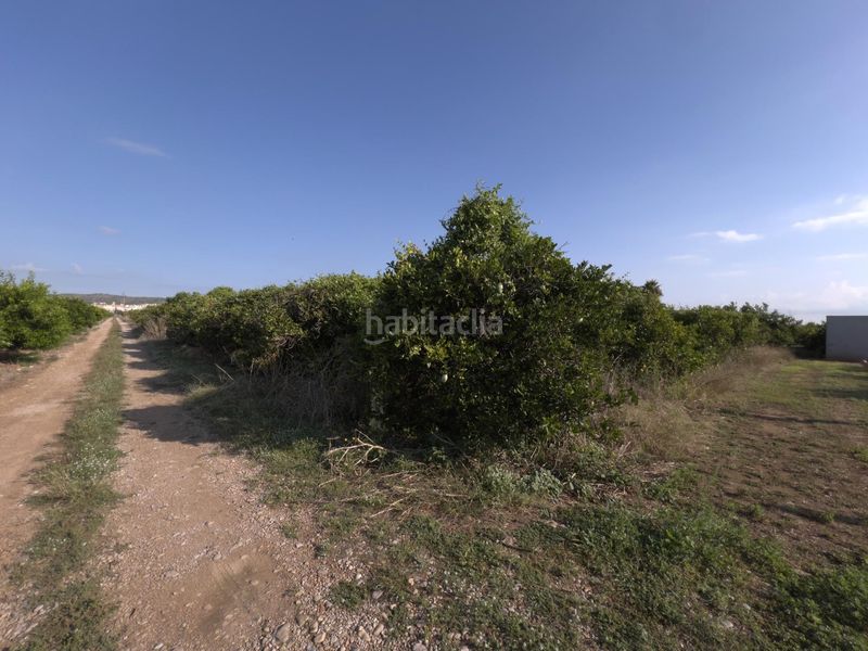 Foto 2ad971d1-a5e0-4c9a-8b55-5b8ffce49bf4. Finca rústica a Alcanar