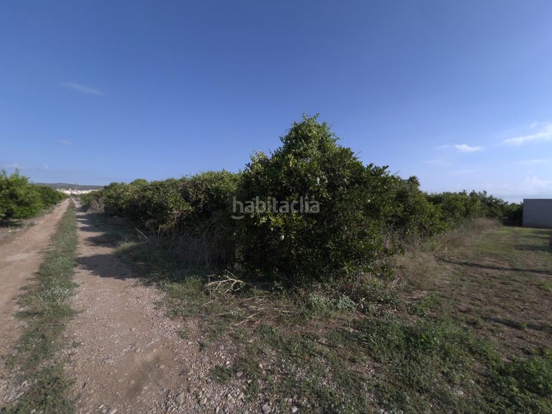 Foto 7f6c946d-7331-4a41-b8ed-b368aedad241. Finca rústica a Alcanar