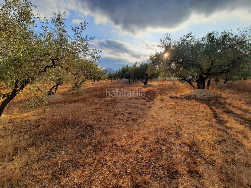 Foto ca353fa9-72a0-470b-bf3e-eaab31fbabad. Masia amb calefacció a Aldover