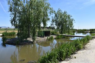 Masia a Eucaliptus - Poble Nou del Delta