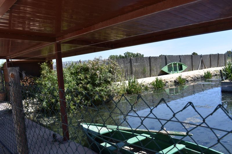 Foto 23669f6b-04b2-4a89-95f8-c832ec48d7da. Masia amb calefacció aparcament piscina a Eucaliptus - Poble Nou del Delta Amposta