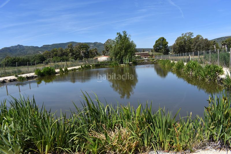 Foto aa6c758a-11d2-475b-9c6f-2358aa9dddf5. Masia amb calefacció aparcament piscina a Eucaliptus - Poble Nou del Delta Amposta