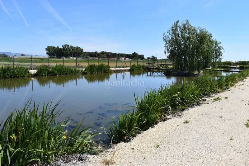 Foto bc35fbac-9063-463f-81a5-7d6951014b1b. Masia amb calefacció aparcament piscina a Eucaliptus - Poble Nou del Delta Amposta