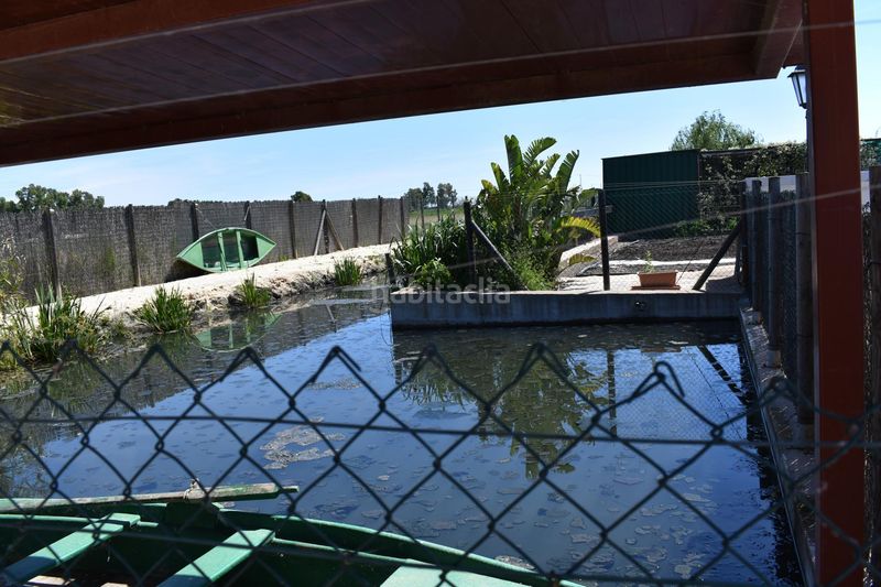 Foto cdebaf98-139d-47ac-9ddd-57b2ca0be44e. Masia amb calefacció aparcament piscina a Eucaliptus - Poble Nou del Delta Amposta