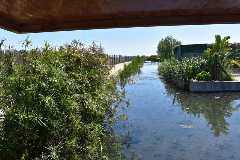 Foto dd3f79dc-9525-4aee-8ebe-c564e1fd01cb. Masia amb calefacció aparcament piscina a Eucaliptus - Poble Nou del Delta Amposta