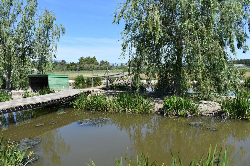 Foto fa33e22b-02dc-4c20-8cdb-dc2048fc6829. Masia amb calefacció aparcament piscina a Eucaliptus - Poble Nou del Delta Amposta