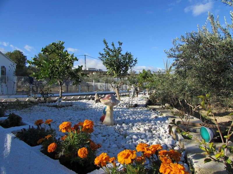 Foto abdf09a0-6538-4055-9920-34ca96ce32d1. Masia amb calefacció aparcament a Gallardos (Los)