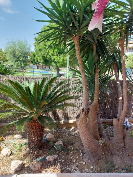 Foto 987e9168-4c26-4c78-a7c5-ca0b560bae92. Pis amb calefacció aparcament piscina a Les Salines-Pla de Sant Pere Cubelles