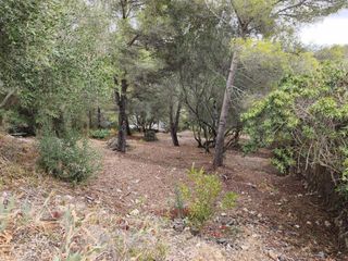 Terreny residencial a Bisbal del Penedès (La)
