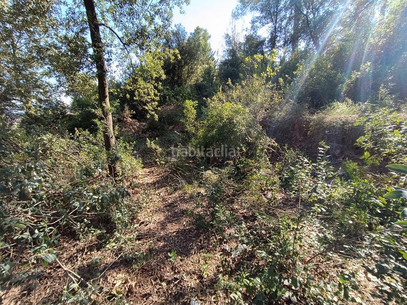 Foto 1c5d3cc2-ee2d-45fd-8703-49bcdd007ea9. Wohngrundstück in El Racó-Sant Feliu del Racó Castellar del Vallès