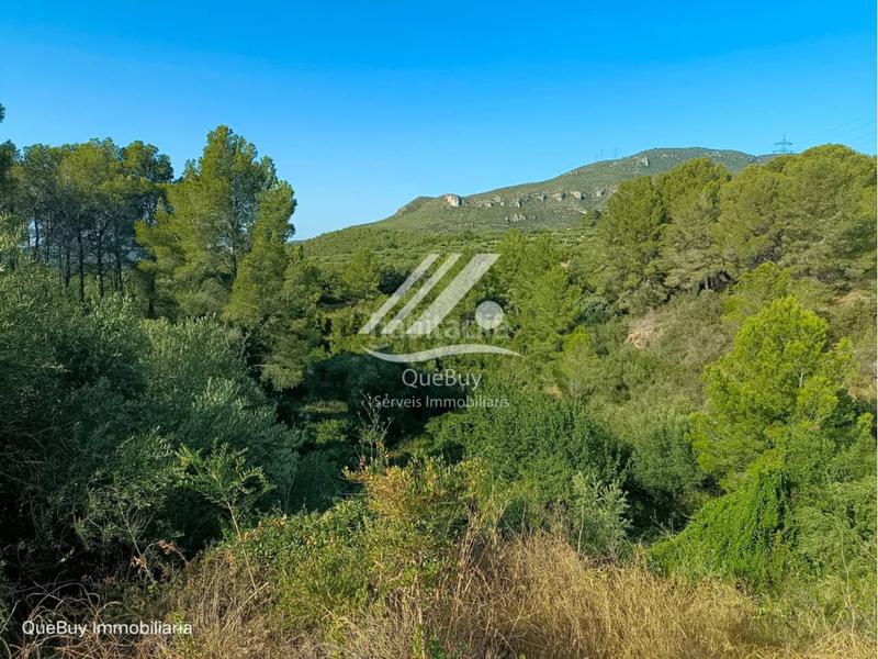 Foto 670d02df-cf13-43be-baaa-e849824d6791. Finca rústica  en venta en Valls