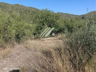 Finca rústica en Valls. Finca rústica en venta en valls
