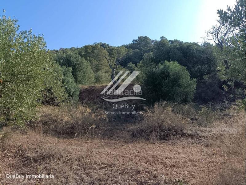 Foto 2d03d206-61ab-41dd-a657-2bb38b6ca79b. Rural plot in Valls