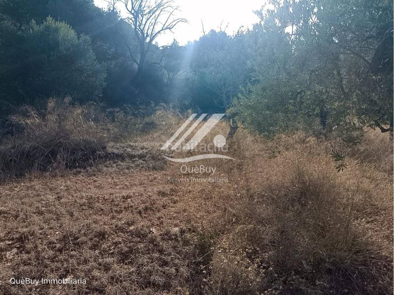 Foto 33f589df-d103-4a9b-b2a6-ef3e8d0ee3bd. Rural plot in Valls