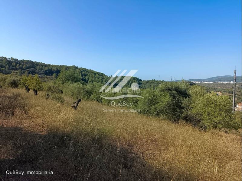 Foto 4bd1397b-e5c3-4d99-ad9b-cf31b053102c. Rural plot in Valls