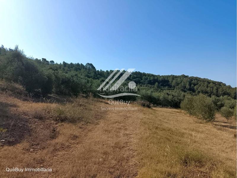 Foto 58308908-3842-45ec-aac8-06654113d347. Rural plot in Valls