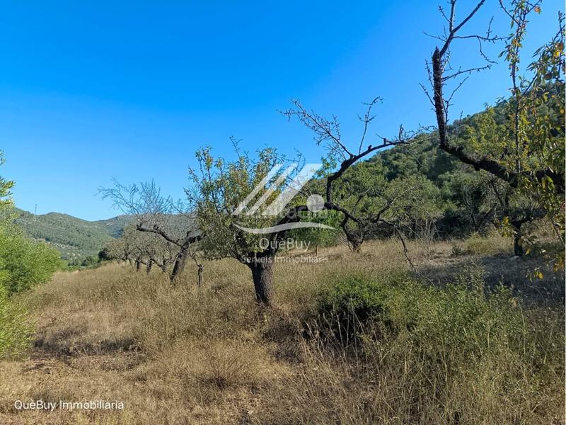 Foto 5b4608d5-2b24-48c4-ba4c-ee095d3d6d0d. Rural plot in Valls