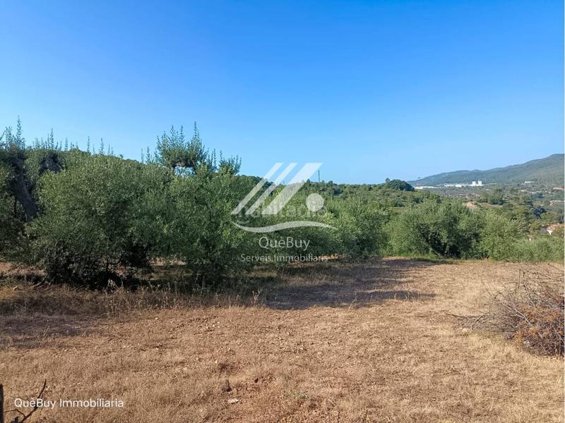 Foto 6eab9b5f-354a-4af8-a542-609f0c82b614. Rural plot in Valls