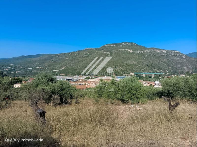 Foto cc798d8b-6eae-4d3a-91e3-8eead6745888. Rural plot in Valls