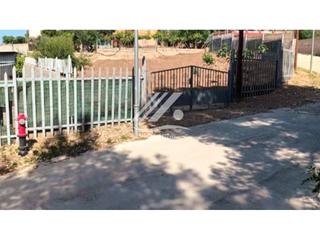 Terreno residencial en Vallmoll. Finca rústica en venta en vallmoll
