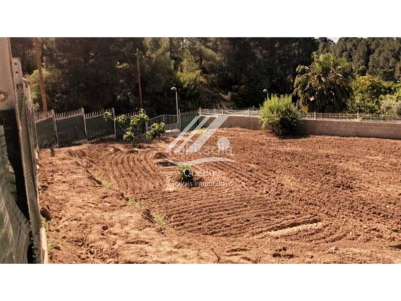 Foto d798f96f-7bb4-41ee-be99-f9ad2ea0a886. Residential plot in Vallmoll