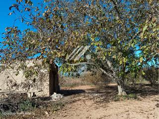 Finca rústica en Valls. Terreno rústico en venta en valls