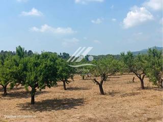Finca rústica en Valls. Terreno en venta en valls
