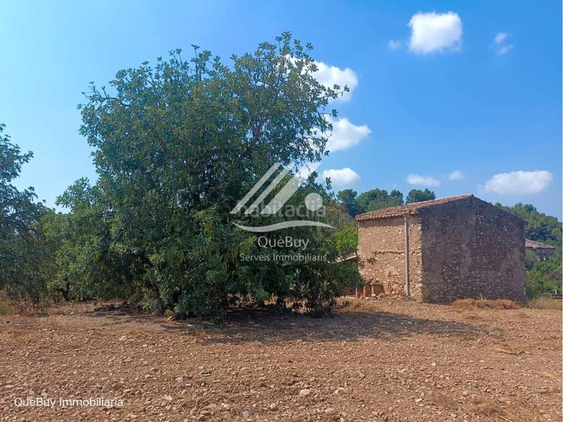 Foto 904dbd44-250e-4dc4-ae97-5925adb4ff80. Rural plot in Valls