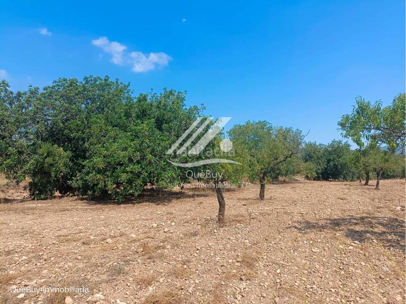 Foto 9be239b7-7c35-4206-a3f8-ec29da083186. Rural plot in Valls