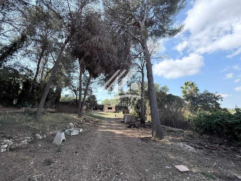 Foto ddab0219-a412-4f11-ad1a-b602a49f1949. Terreny residencial a Catllar (El)