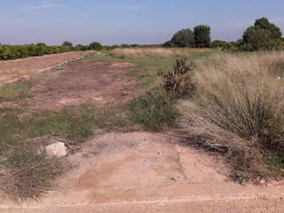 Propriété à Piscinas. Venta de terreno rústico en la partida llombai de burriana