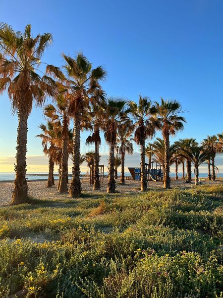 Foto 2f480dae-9ea6-4118-b261-2bc71ce8d6f1. Casa a Playa-Ben Afeli Almazora / Almassora