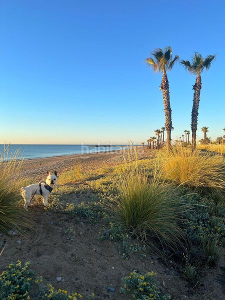 Foto 63db1a66-05c1-4652-b40a-79a398a3b9f4. Casa a Playa-Ben Afeli Almazora / Almassora