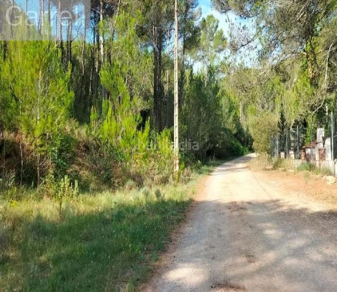 Foto e55eea25-1ede-4b09-8ab9-0ce8d6791d6f. Chalet dans Mediona