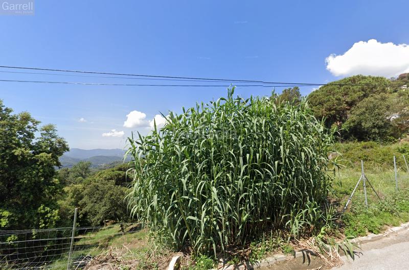 Foto 7b73b0f1-8dea-438d-a72d-1f75e0482032. Terreno residencial en Can Massuet del Far Dosrius