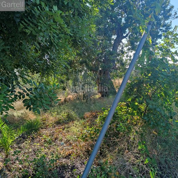 Foto 2531c954-93a6-4bac-82ac-42d5f4eac567. Terreny residencial a Alcanar