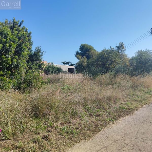 Foto 8728c4ed-ae8d-4b3d-b3e2-41b9935d2afa. Terreny residencial a Alcanar
