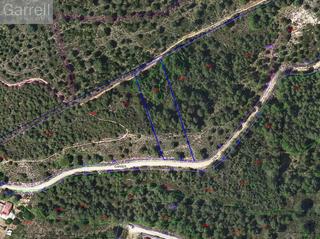 Terreny residencial  Cl dels pins 
 el montmell (ur la moixeta) (tarragona)