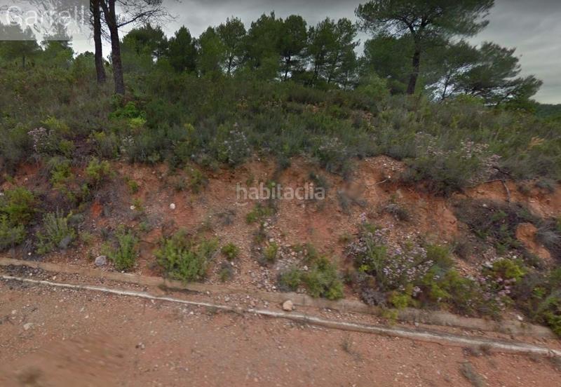 Foto 6bef4545-5ea9-48b0-b882-a7a432fa7124. Terreny residencial a Aiguamúrcia