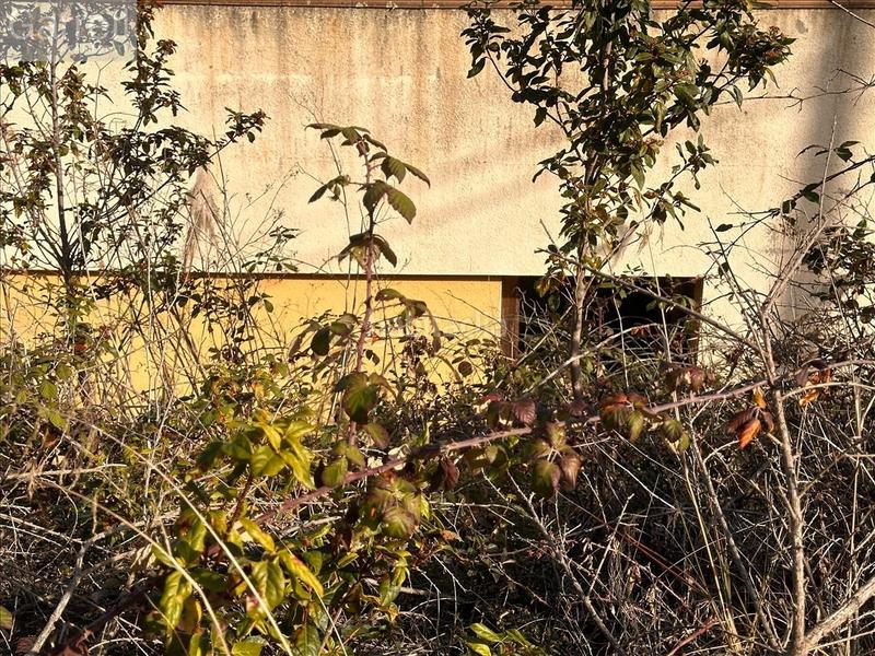 Foto 25d47c33-32ff-4a28-8811-e8c0e759e8d5. Chalet in Montbarbat Maçanet de la Selva