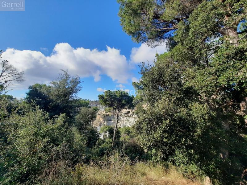 Foto f511d41c-f44c-427d-8676-f13dccabf976. Terreny residencial a Can Massuet del Far Dosrius