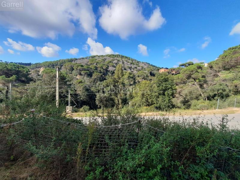 Foto 1893dae3-58f5-46a8-870b-c306b62449c3. Terrain résidentiel dans Can Massuet del Far Dosrius