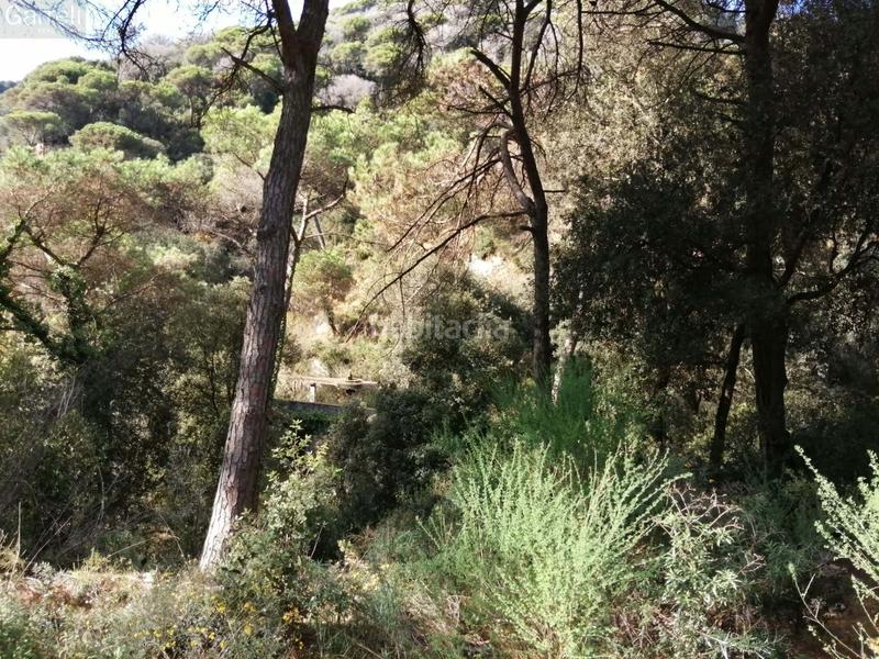 Foto 47af759b-66b4-4af7-86c5-61f734b715fe. Terrain résidentiel dans Can Massuet del Far Dosrius