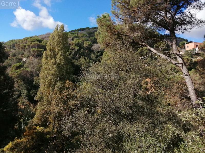 Foto dab88d54-ba1b-4f3e-b400-8caa61bf0856. Wohngrundstück in Can Massuet del Far Dosrius