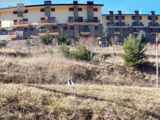 Terreny residencial  Cr alp-molina p- 
 alp (girona)
