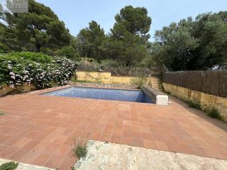 Haus  Cl suissa  n- es:a pl: pt:
 torroella de montgri (girona)