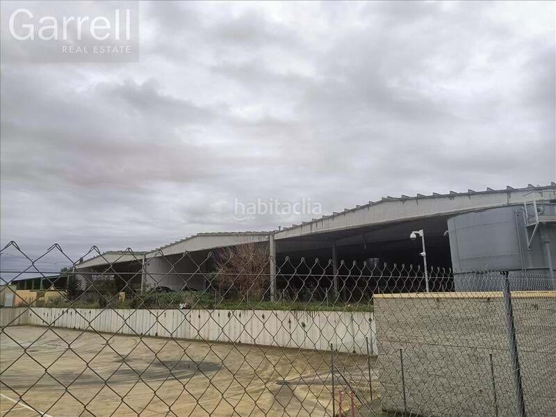 Foto 2ffa794f-4fc0-405a-8ab9-88ed05f86cea. Nau industrial a Puigpelat