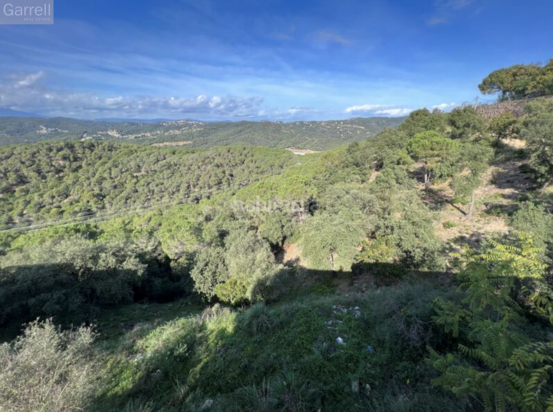 Foto 5c76d29d-535d-4462-a23d-aec0ecabf6e4. Reihenhaus in Roca Grossa Lloret de Mar